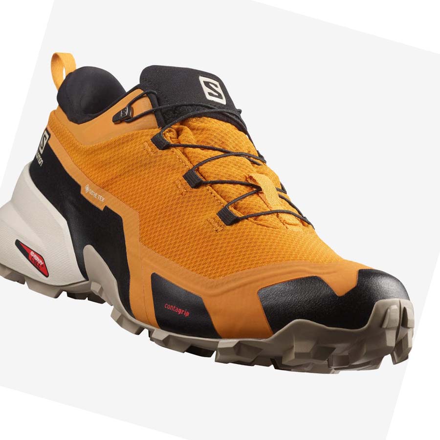 Salomon CROSS HIKE GORE-TEX Erkek Yürüyüş Ayakkabısı Turuncu | TR 3607JPQ